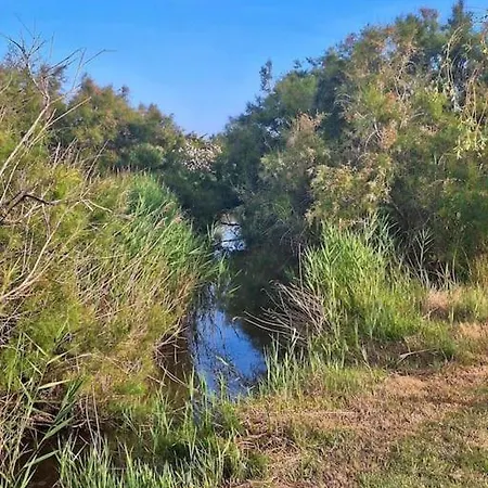 Villa De L'Eau Et Des Oiseaux ! à Les Les Saintes-Maries-de-la-Mer Extérieur photo