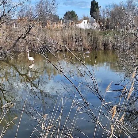 Villa De L'Eau Et Des Oiseaux ! à Les Les Saintes-Maries-de-la-Mer Extérieur photo