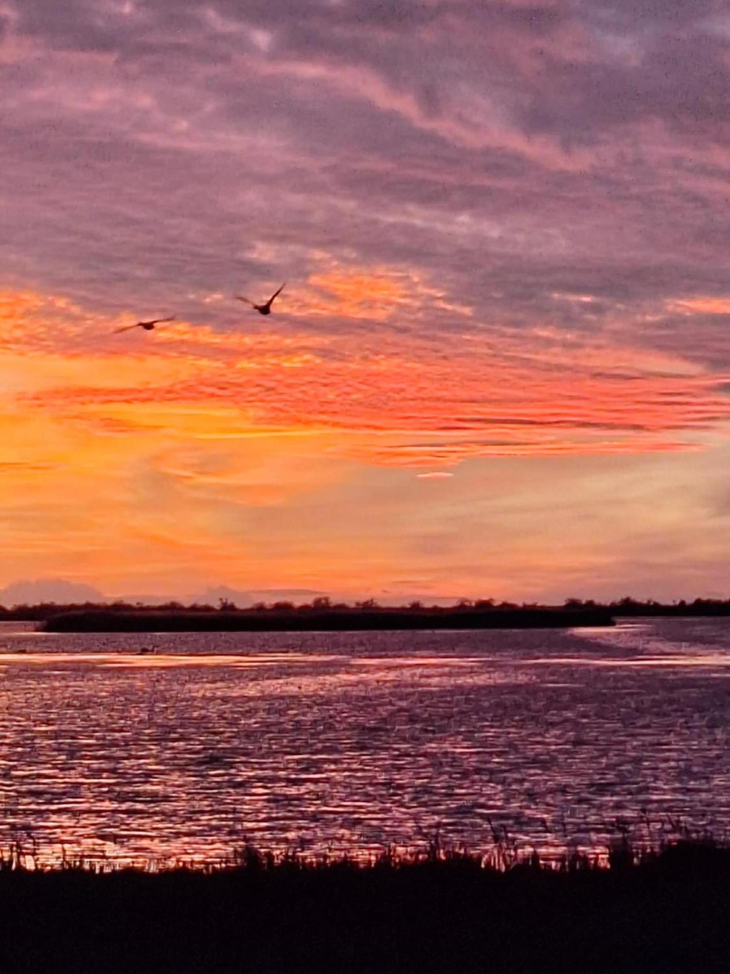 De L'eau Et Des Oiseaux !